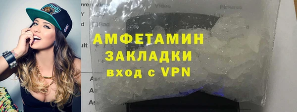 ГАЛЛЮЦИНОГЕННЫЕ ГРИБЫ Бородино